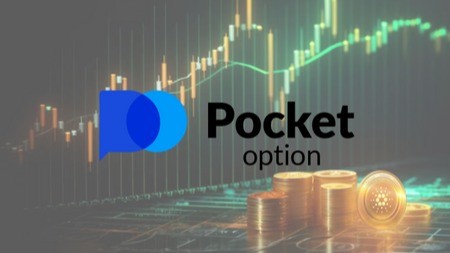 Pocket Option Reviews A Comprehensive Look at This Trading Platform
